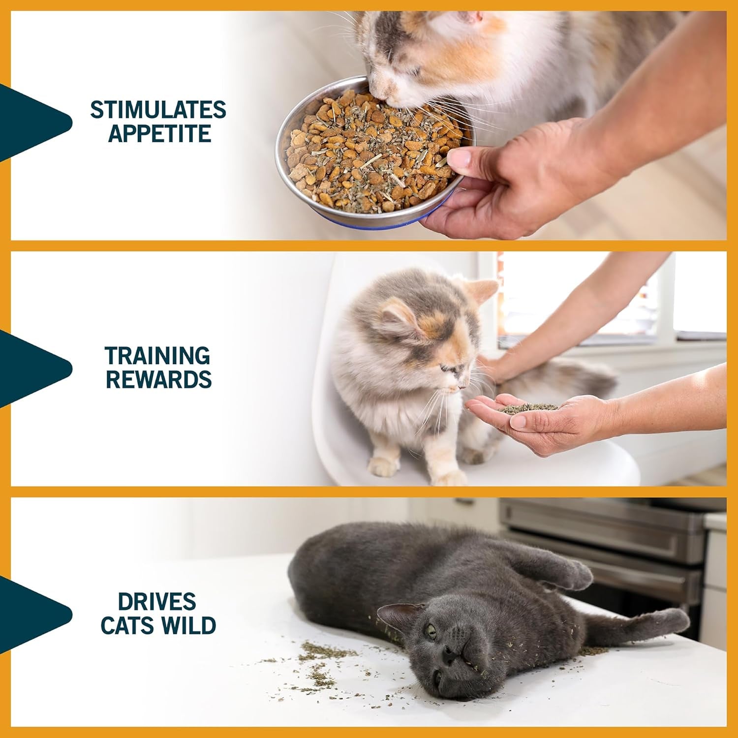 Ourpet'S Premium Catnip - 2.25 Oz Jar of High Potency Catnip - 100% North American Grown