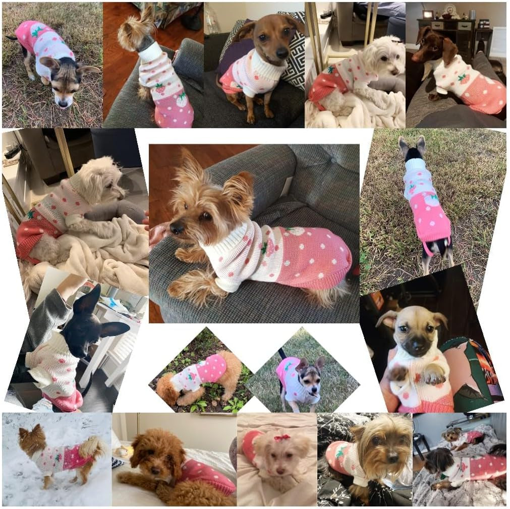 Pet Dog Sweaters Classic Knitwear Turtleneck Winter Warm Puppy Clothing Cute Strawberry and Heart Doggie Sweater (Pink, Small)