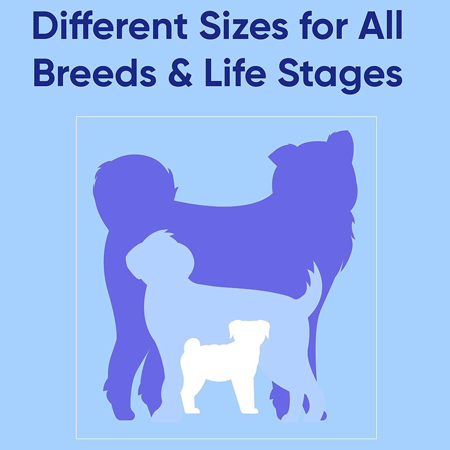 Solid 6 Ft Green Dog Leash M/L Custom Name and Phone Embroidery Strong Nylon Leash for Medium and Large Breeds