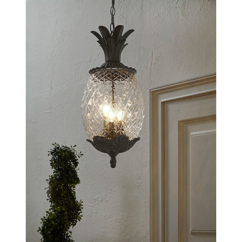 Augusta 3 -Light Burled Walnut Traditional Seeded Glass Lantern Medium Outdoor Pendant Light