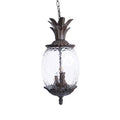 Augusta 3 -Light Burled Walnut Traditional Seeded Glass Lantern Medium Outdoor Pendant Light