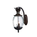 Lanai Collection 2-Light Black Coral Outdoor Wall Lantern Sconce