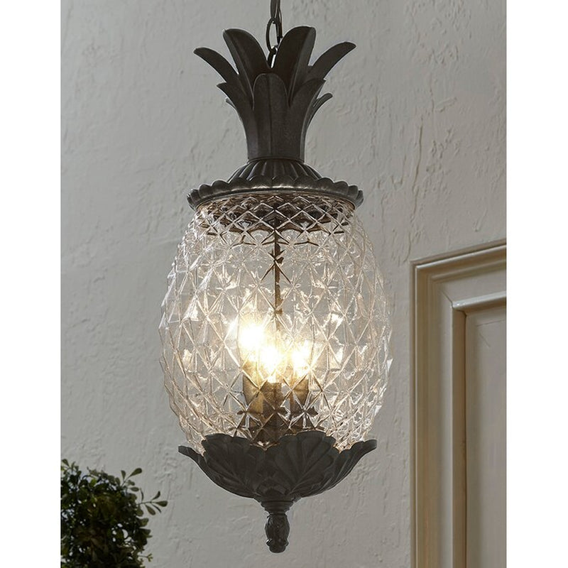 Augusta 3 -Light Burled Walnut Traditional Seeded Glass Lantern Medium Outdoor Pendant Light