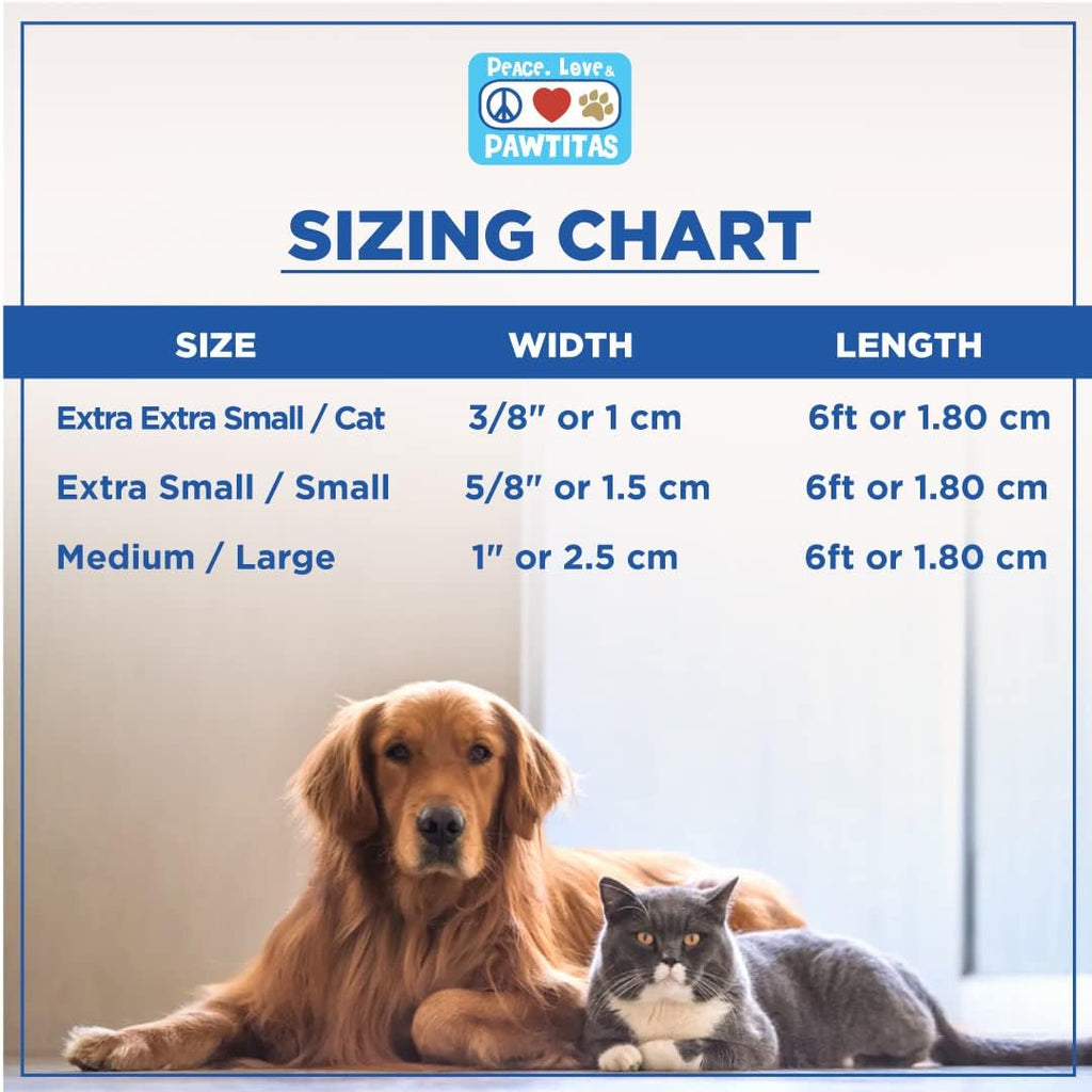 Solid 6 Ft Green Dog Leash M/L Custom Name and Phone Embroidery Strong Nylon Leash for Medium and Large Breeds